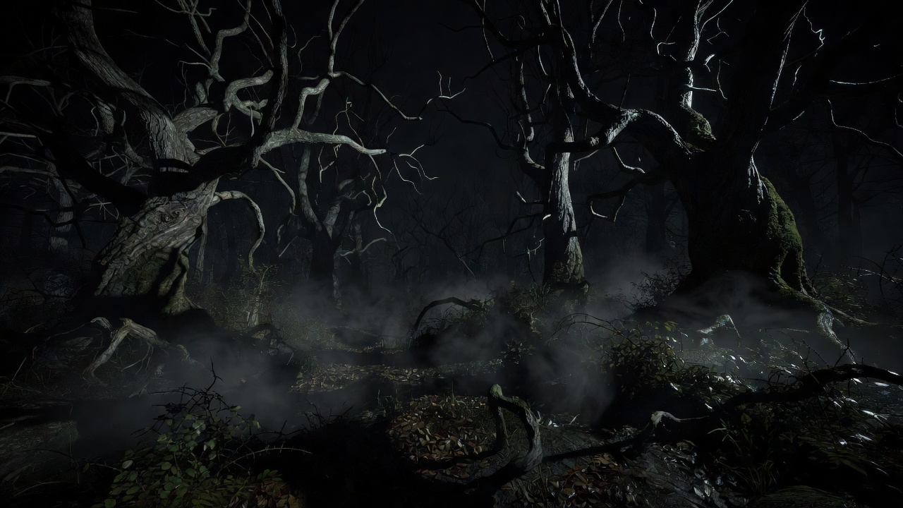 Spooky dark mystery forest horror style